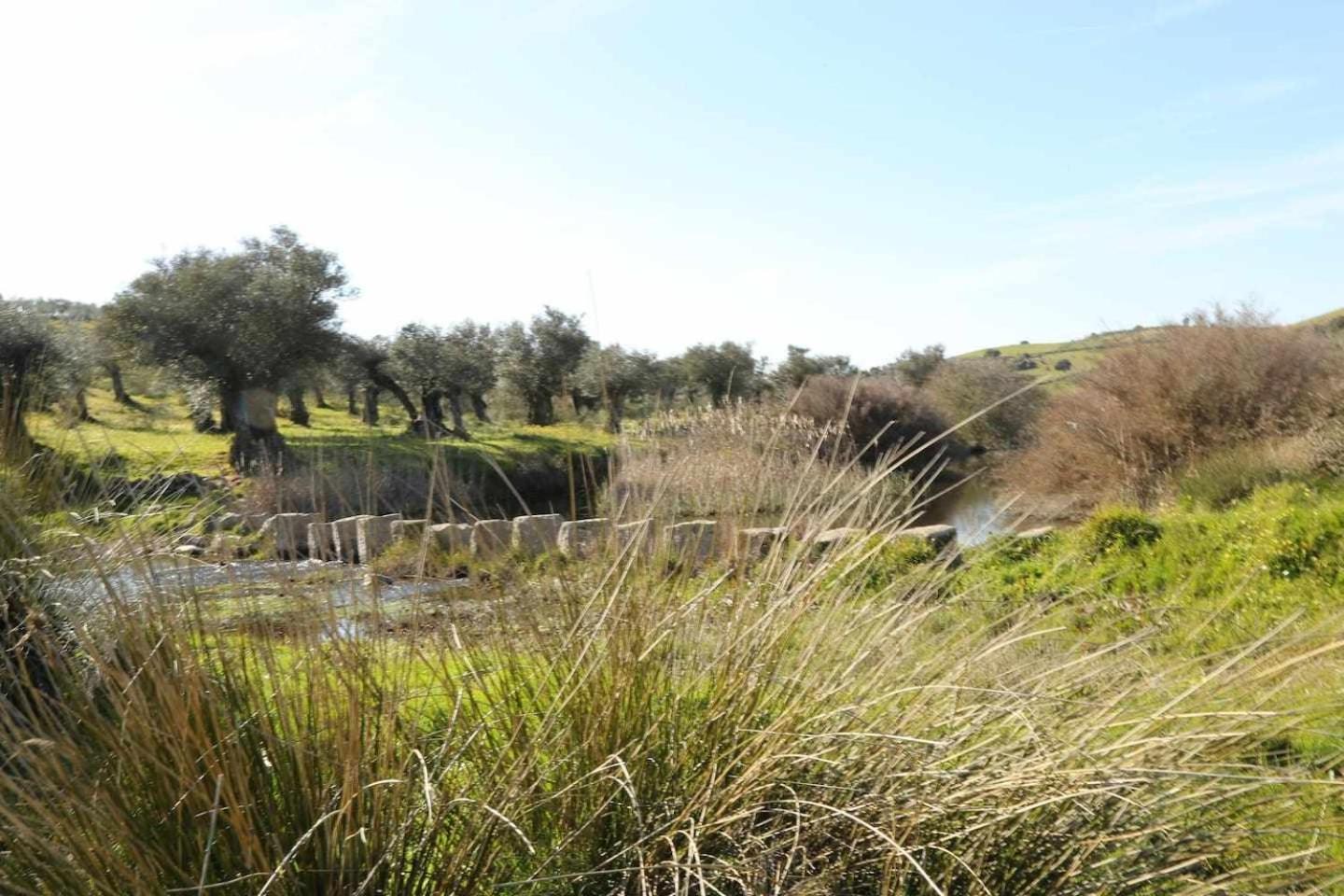 El Olivar Agloipe Ahigal Trcc Esterno foto