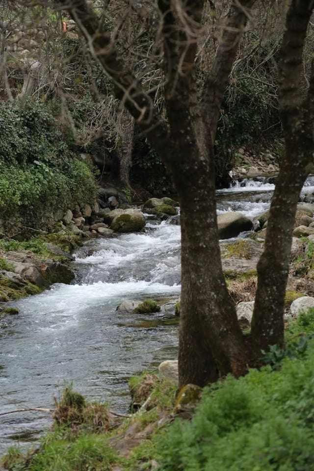 El Olivar Agloipe Ahigal Trcc Esterno foto